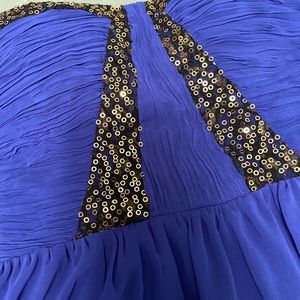 Purple/Royal Maxi